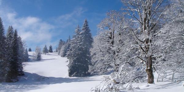 Le Jura en hiver